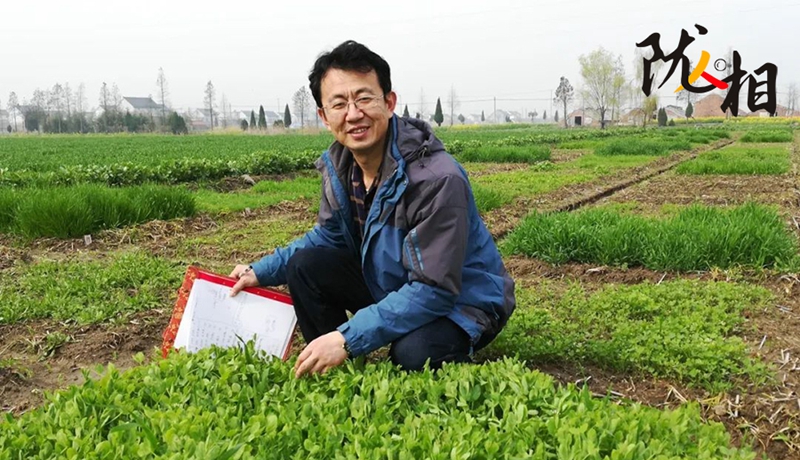 【隴人相203期】“土學(xué)者”劉滿強(qiáng)：俯身西部黃土地 匠心澆灌科研花