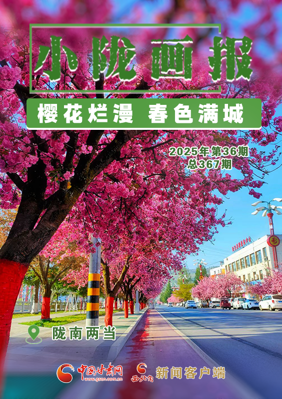 【小隴畫(huà)報(bào)·367期】?jī)僧?dāng)： 櫻花爛漫 春色滿城